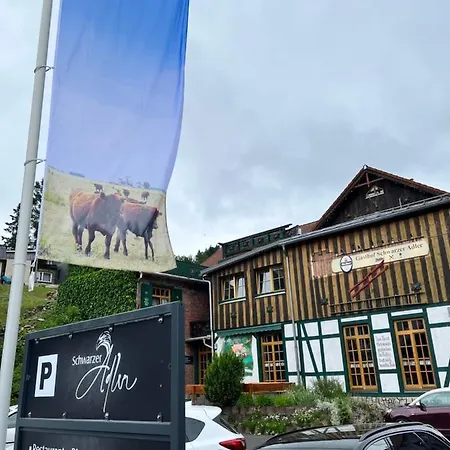 Gasthof&pension Schwarzer Adler 3* Masserberg