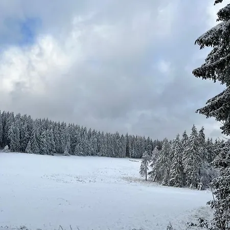 Gasthof&pension Schwarzer Adler