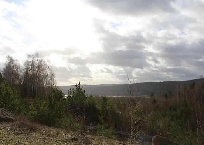 Gasthof Gasthof&pension Schwarzer Adler 3*