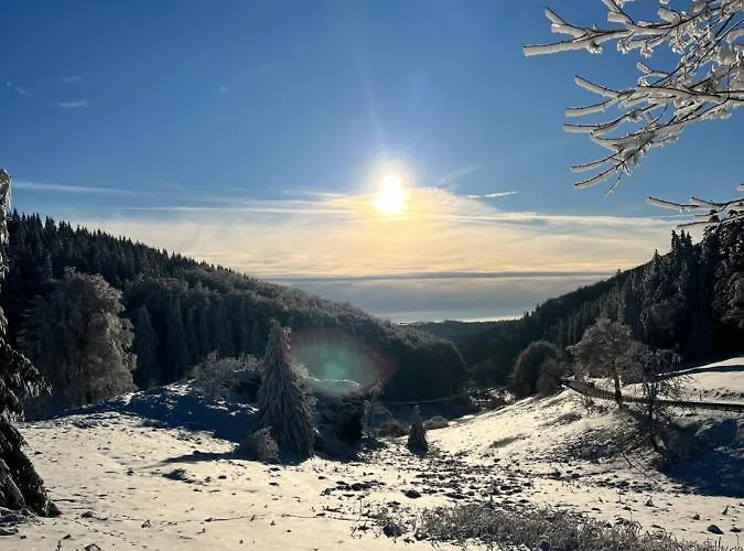 Gasthof Gasthof&pension Schwarzer Adler