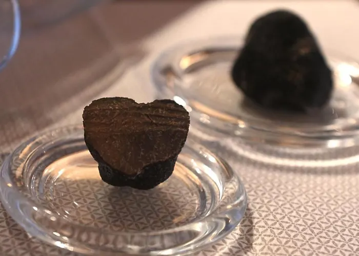 게스트하우스 & 