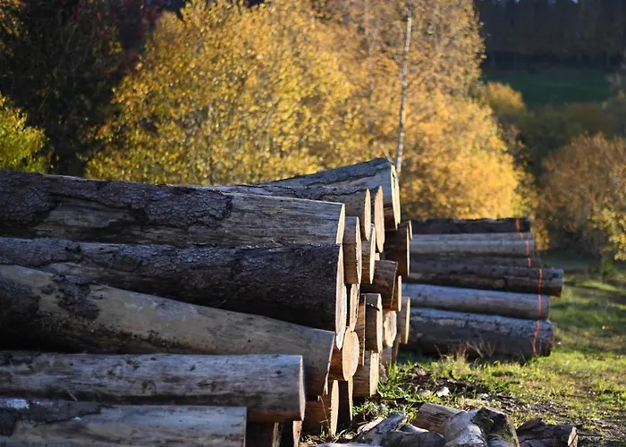 게스트하우스 & 