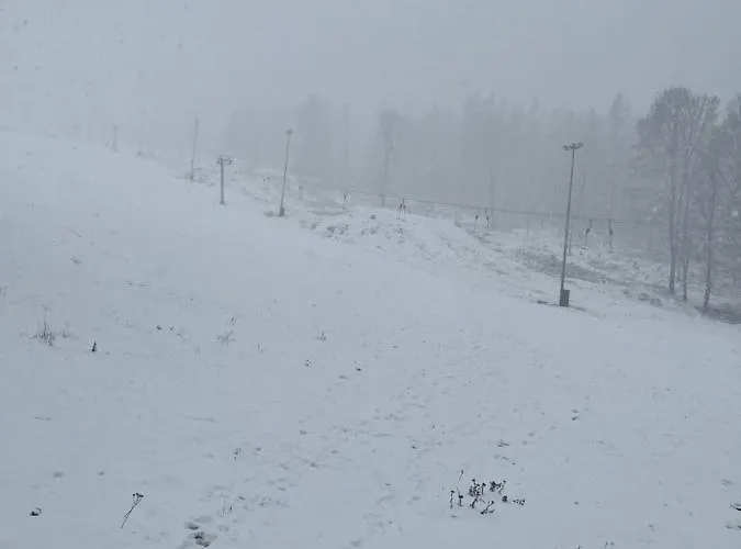 Gasthof&pension Schwarzer Adler